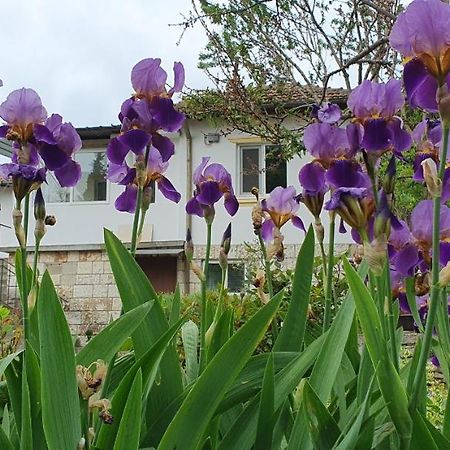 Стая За Гости "Ирина" Balchik Luaran gambar