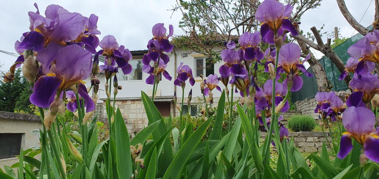 Стая За Гости "Ирина" Balchik Luaran gambar